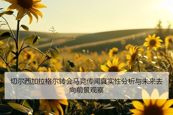 切尔西加拉格尔转会马竞传闻真实性分析与未来去向前景观察
